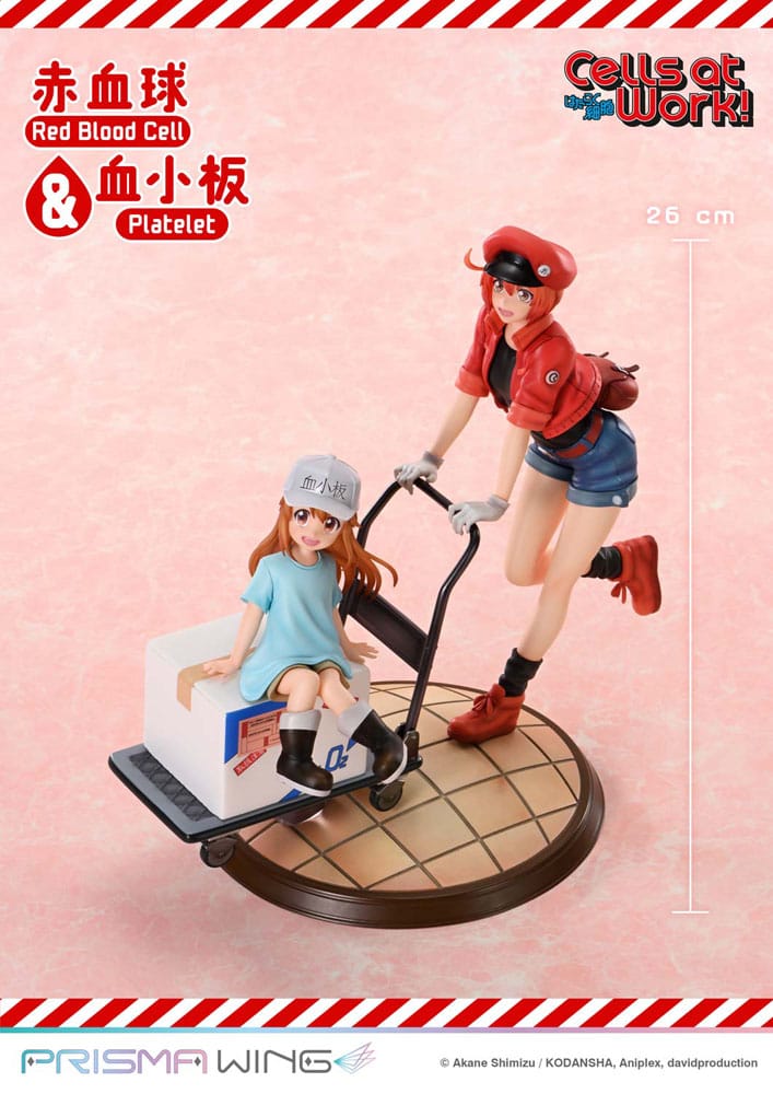CELLS AT WORK ESTATUA PVC RED BLOOD CELL & PLATELET
