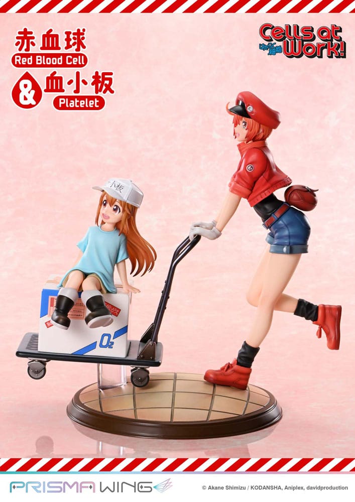 CELLS AT WORK ESTATUA PVC RED BLOOD CELL & PLATELET