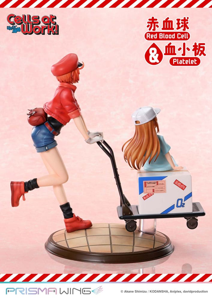 CELLS AT WORK ESTATUA PVC RED BLOOD CELL & PLATELET